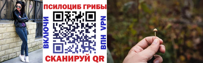 Галлюциногенные грибы MAGIC MUSHROOMS  Нязепетровск 