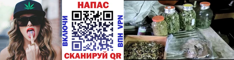 ссылка на мегу ссылка  Нязепетровск  Конопля Bruce Banner 